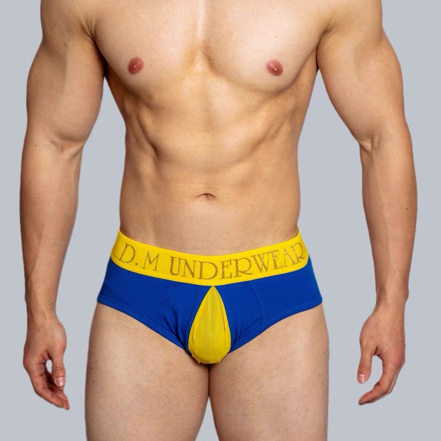 a sexy man in blue DM Men’s Color Clash Mesh Peephole Briefs - pridevoyageshop.com - gay men’s thongs, boxers, briefs and jockstraps