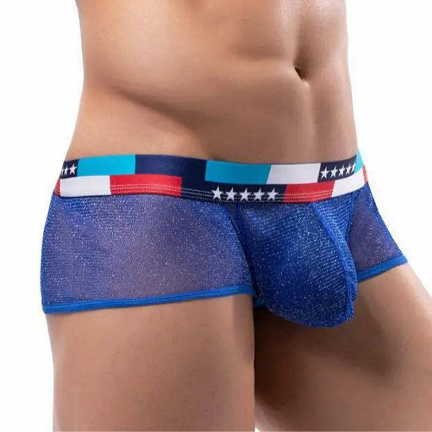 a sexy man in blue Men's Star-Spangled Sparkle Sheer Boxers - pridevoyageshop.com - gay men’s thongs, boxers, briefs and jockstraps