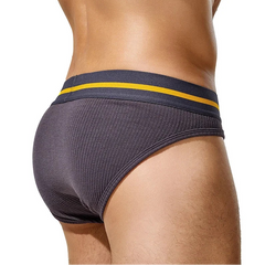 a sexy man in dark gray TAUWELL Men’s Pride-Banded Ribbed Briefs - pridevoyageshop.com - gay men’s thongs, boxers, briefs and jockstraps
