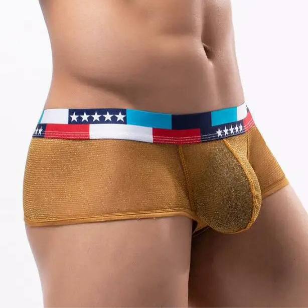 a sexy man in gold Men's Star-Spangled Sparkle Sheer Boxers - pridevoyageshop.com - gay men’s thongs, boxers, briefs and jockstraps