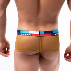 a sexy man in gold Men's Star-Spangled Sparkle Sheer Boxers - pridevoyageshop.com - gay men’s thongs, boxers, briefs and jockstraps