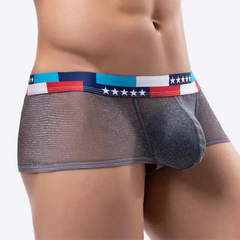 a sexy man in gray Men's Star-Spangled Sparkle Sheer Boxers - pridevoyageshop.com - gay men’s thongs, boxers, briefs and jockstraps
