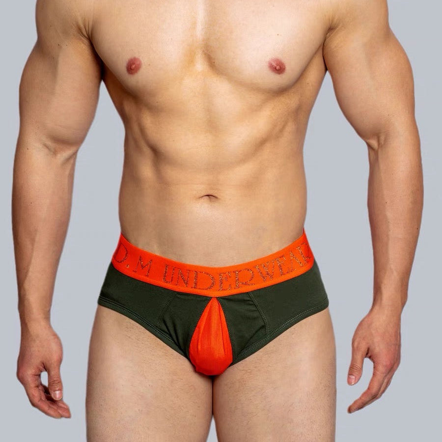 a sexy man in green DM Men’s Color Clash Mesh Peephole Briefs - pridevoyageshop.com - gay men’s thongs, boxers, briefs and jockstraps