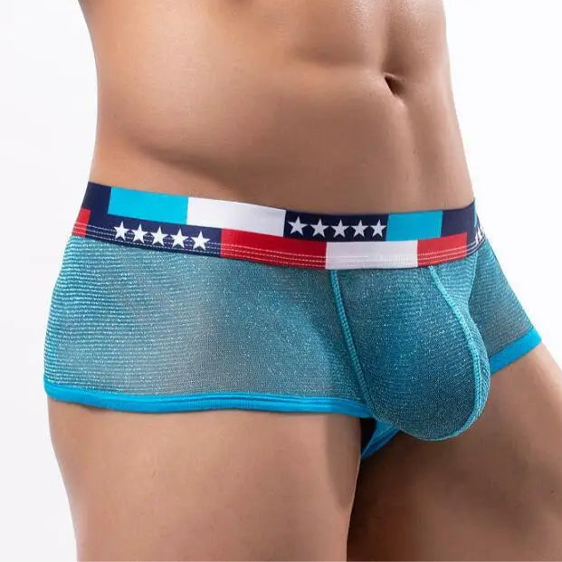 a sexy man in light blue Men's Star-Spangled Sparkle Sheer Boxers - pridevoyageshop.com - gay men’s thongs, boxers, briefs and jockstraps