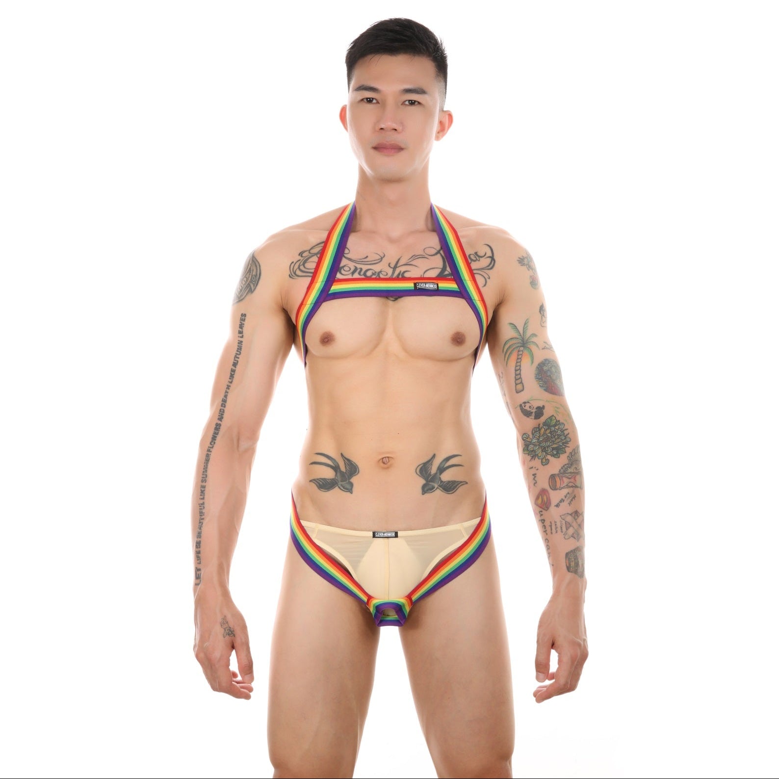 a sexy man in rainbow The Celebration Rainbow Pride Harness – pridevoyageshop.com – gay men’s harness, lingerie and fetish wear