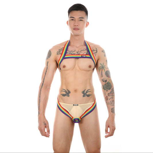 a sexy man in rainbow The Celebration Rainbow Pride Harness – pridevoyageshop.com – gay men’s harness, lingerie and fetish wear