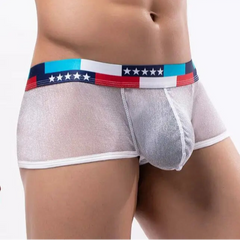 a sexy man in white Men's Star-Spangled Sparkle Sheer Boxers - pridevoyageshop.com - gay men’s thongs, boxers, briefs and jockstraps