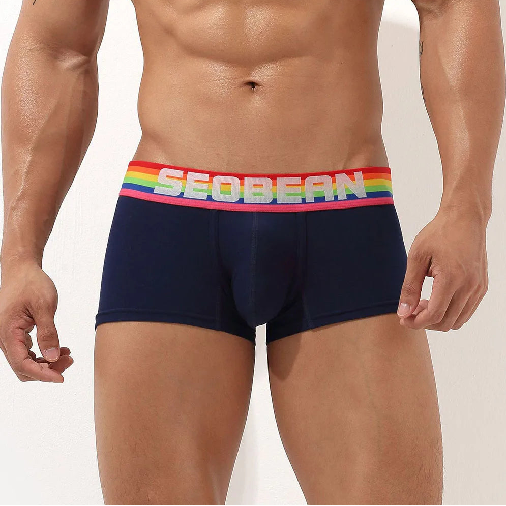 a sey man in dark blue SEOBEAN Men’s Pride-Banded Bulge Boxers - pridevoyageshop.com - gay men’s thongs, boxers, briefs and jockstraps