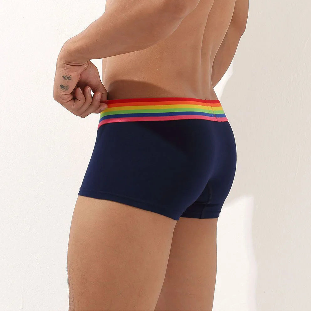a sey man in dark blue SEOBEAN Men’s Pride-Banded Bulge Boxers - pridevoyageshop.com - gay men’s thongs, boxers, briefs and jockstraps