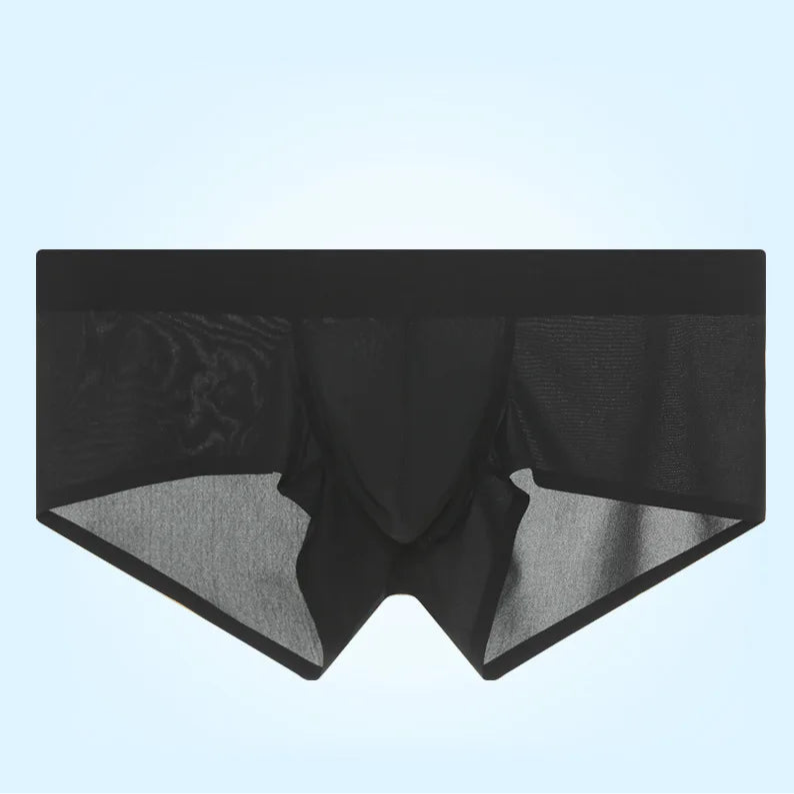 black Backroom Sheer Kink See-Through Boxers - pridevoyageshop.com - gay men’s thongs, boxers, briefs and jockstraps