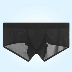 black Backroom Sheer Kink See-Through Boxers - pridevoyageshop.com - gay men’s thongs, boxers, briefs and jockstraps