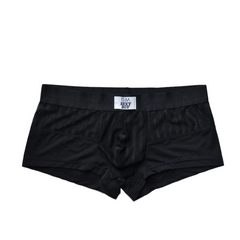 black Men’s Designer Striped Sheer Mesh Boxer Brief - pridevoyageshop.com - gay men’s thongs, boxers, briefs and jockstraps