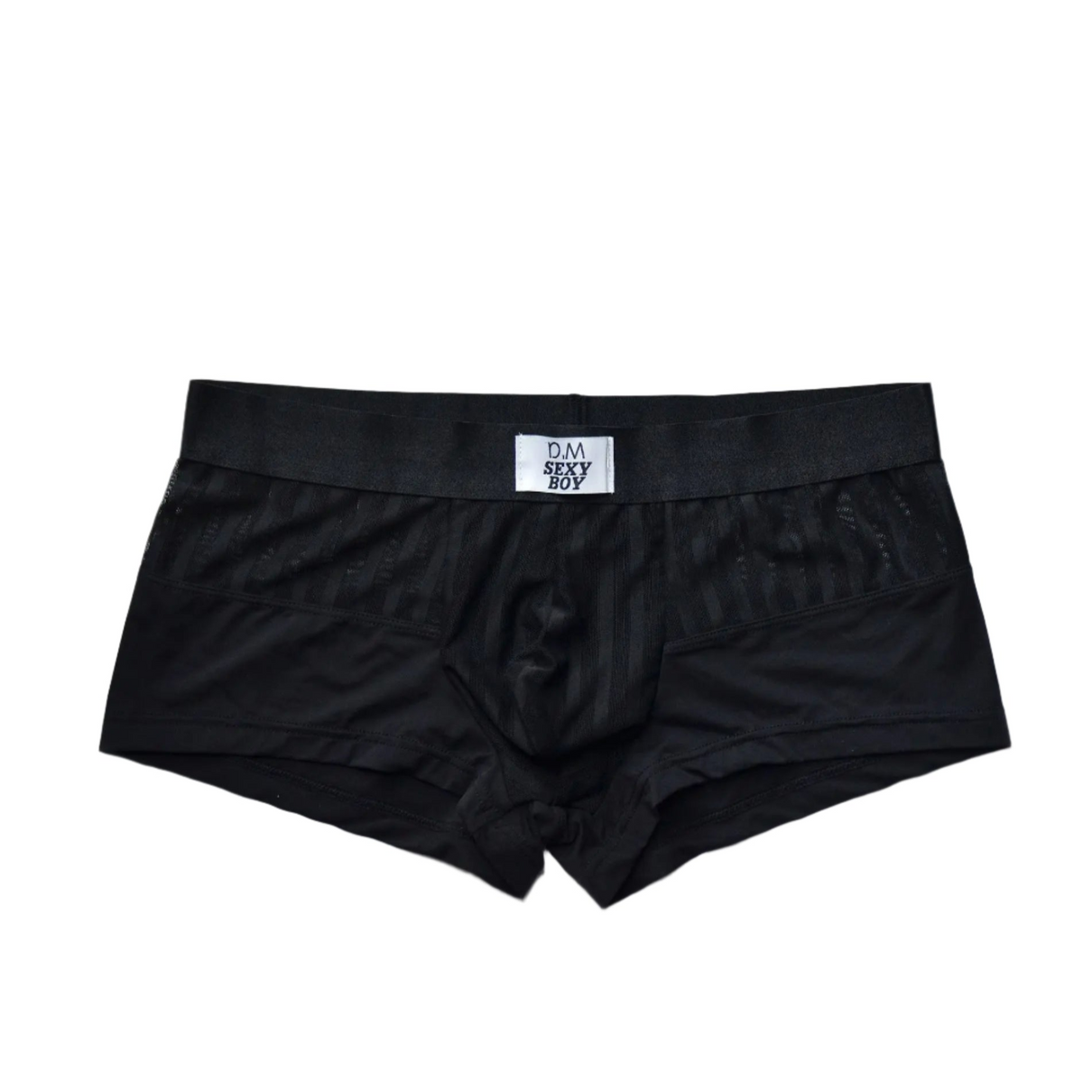 black Men’s Designer Striped Sheer Mesh Boxer Brief - pridevoyageshop.com - gay men’s thongs, boxers, briefs and jockstraps