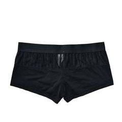 black Men’s Designer Striped Sheer Mesh Boxer Brief - pridevoyageshop.com - gay men’s thongs, boxers, briefs and jockstraps