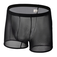 black Men’s See-Through Mesh Male Power Show Boxers - pridevoyageshop.com - gay men’s thongs, boxers, briefs and jockstraps