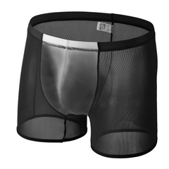 black Men’s See-Through Mesh Male Power Show Boxers - pridevoyageshop.com - gay men’s thongs, boxers, briefs and jockstraps