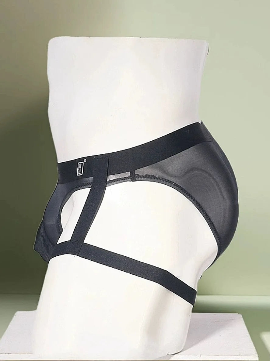 black Men’s Sheer Garter Brief - pridevoyageshop.com - gay men’s thongs, boxers, briefs and jockstraps
