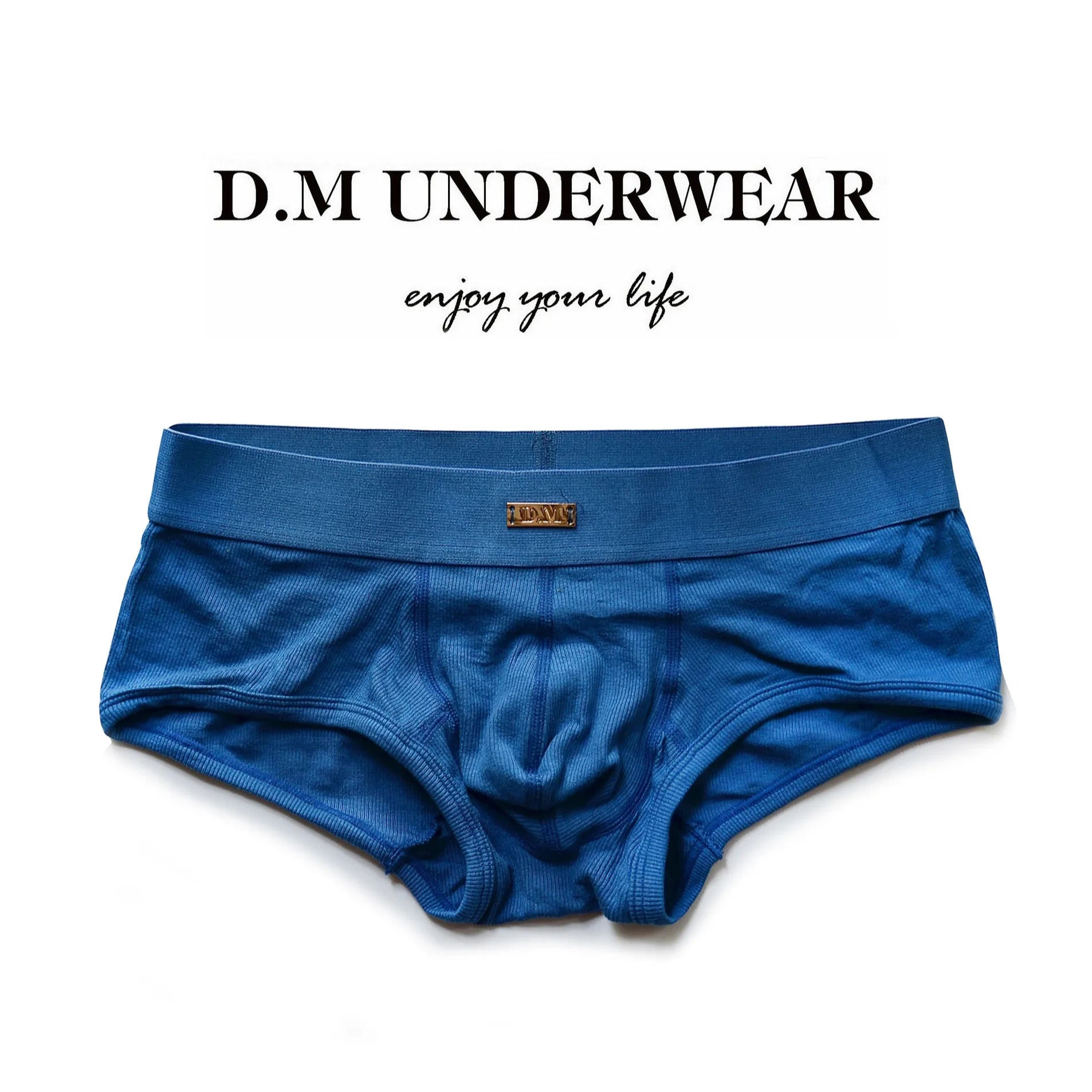 blue DM Pose Boxer Briefs - pridevoyageshop.com - gay men’s thongs, boxers, briefs and jockstraps