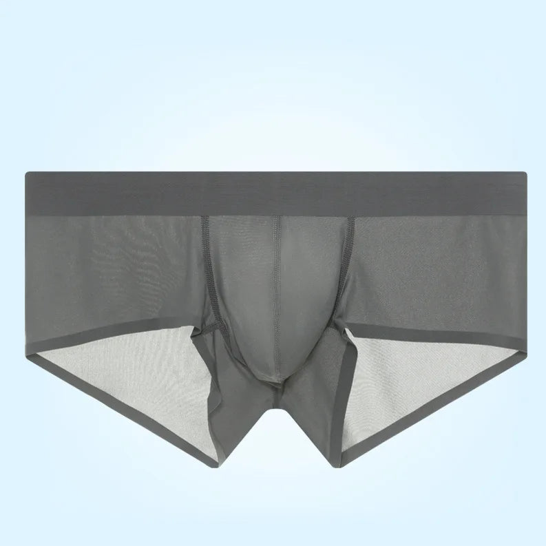 dark gray Backroom Sheer Kink See-Through Boxers - pridevoyageshop.com - gay men’s thongs, boxers, briefs and jockstraps