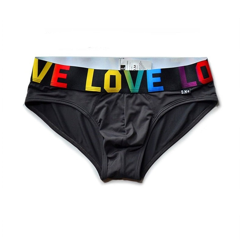 dark gray DM Rainbow Pride Love Briefs - pridevoyageshop.com - gay men’s underwear and swimwear