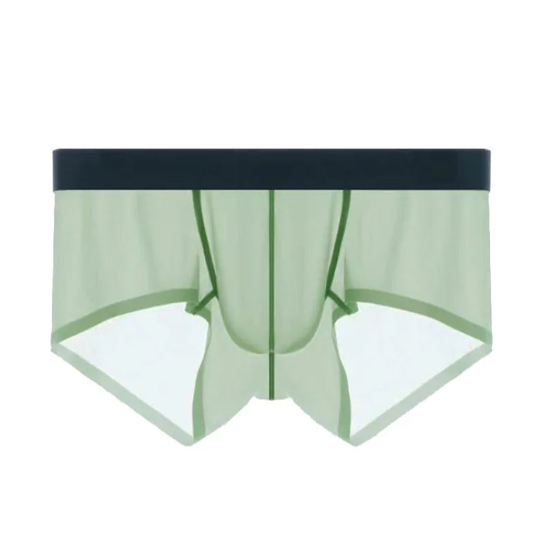 green Backroom Sheer Kink See-Through Boxers - pridevoyageshop.com - gay men’s thongs, boxers, briefs and jockstraps