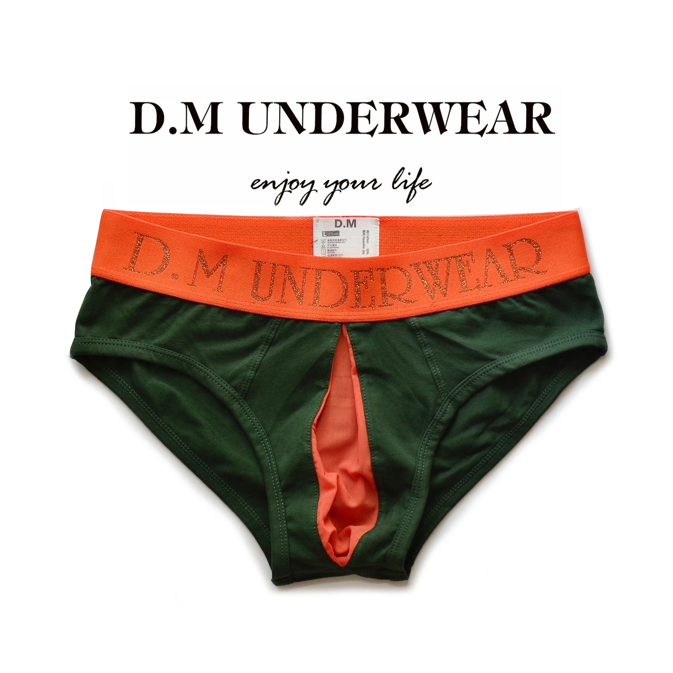 green DM Men’s Color Clash Mesh Peephole Briefs - pridevoyageshop.com - gay men’s thongs, boxers, briefs and jockstraps
