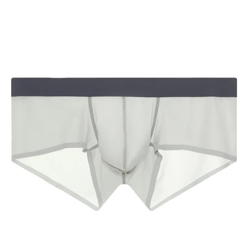 light gray Backroom Sheer Kink See-Through Boxers - pridevoyageshop.com - gay men’s thongs, boxers, briefs and jockstraps