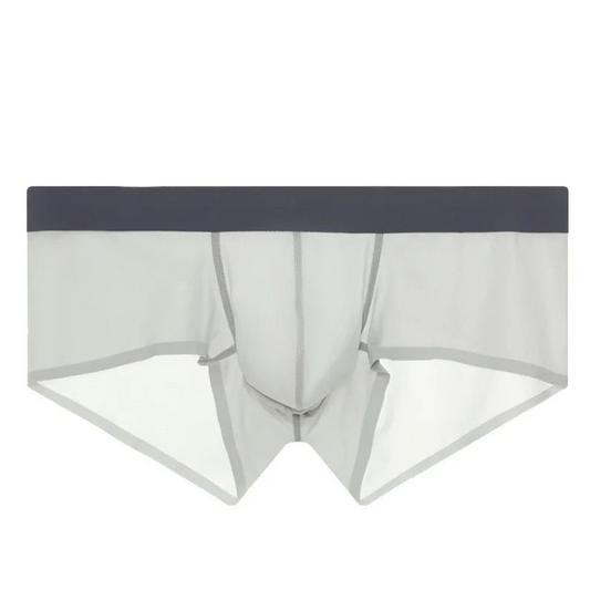 light gray Backroom Sheer Kink See-Through Boxers - pridevoyageshop.com - gay men’s thongs, boxers, briefs and jockstraps