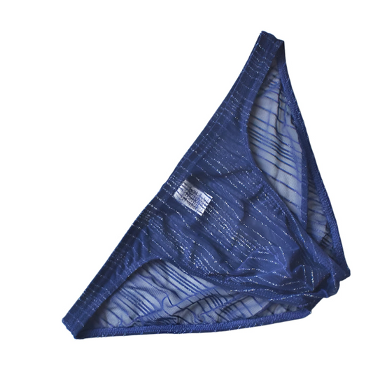 navy blue Men’s Glitter Mesh Sheer Brief - pridevoyageshop.com - gay men’s thongs, boxers, briefs and jockstraps