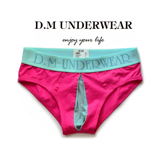 rose DM Men’s Color Clash Mesh Peephole Briefs - pridevoyageshop.com - gay men’s thongs, boxers, briefs and jockstraps